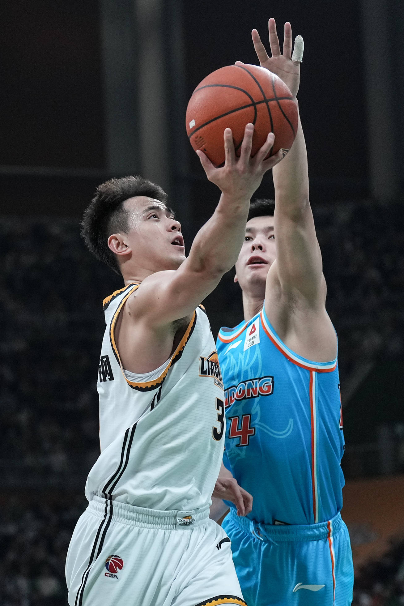 凯尔特人碾压四川队，赵继伟带队取胜