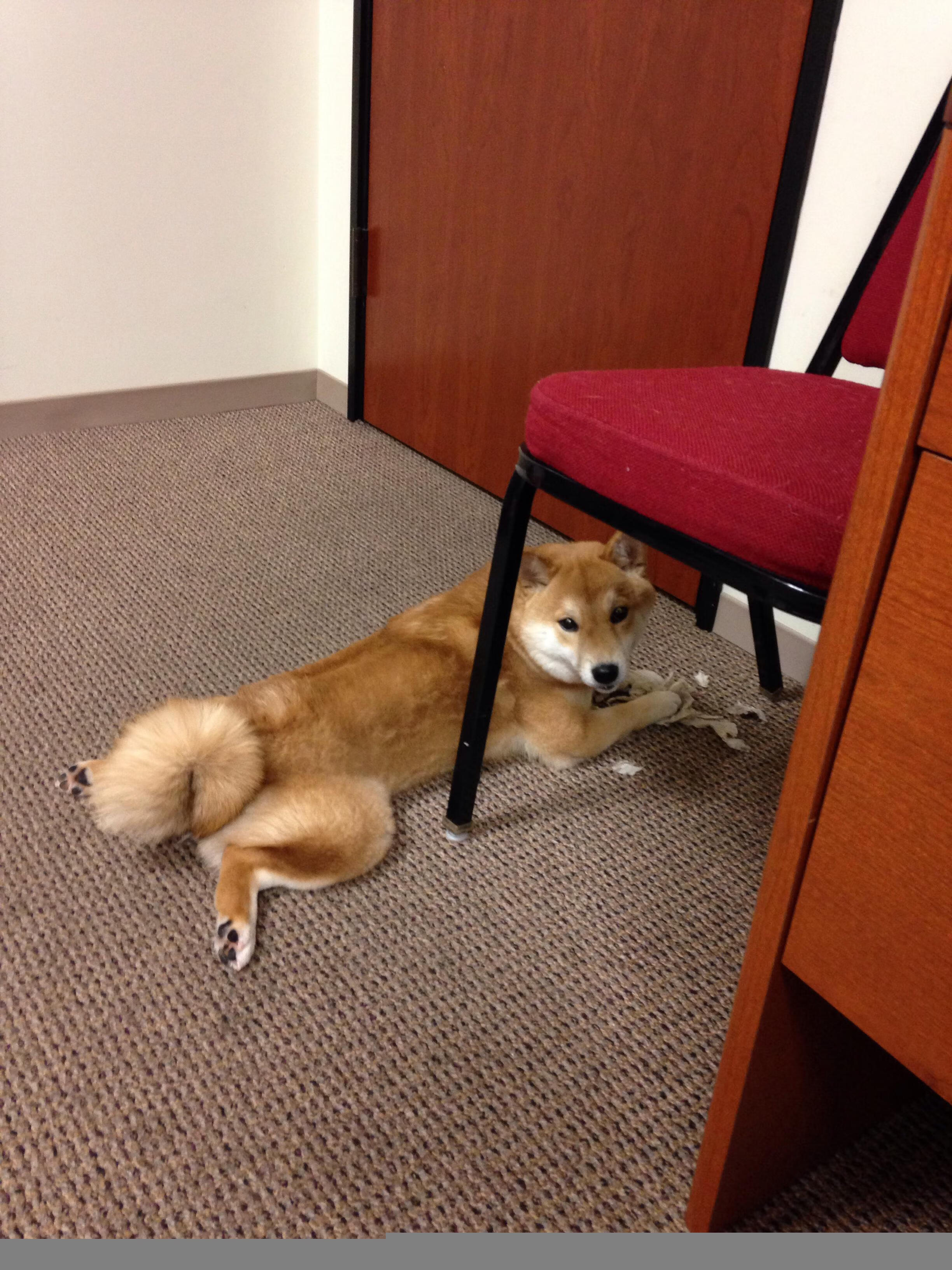 那夜,是谁的绝杀为千万深夜食堂送上滚烫慰藉?