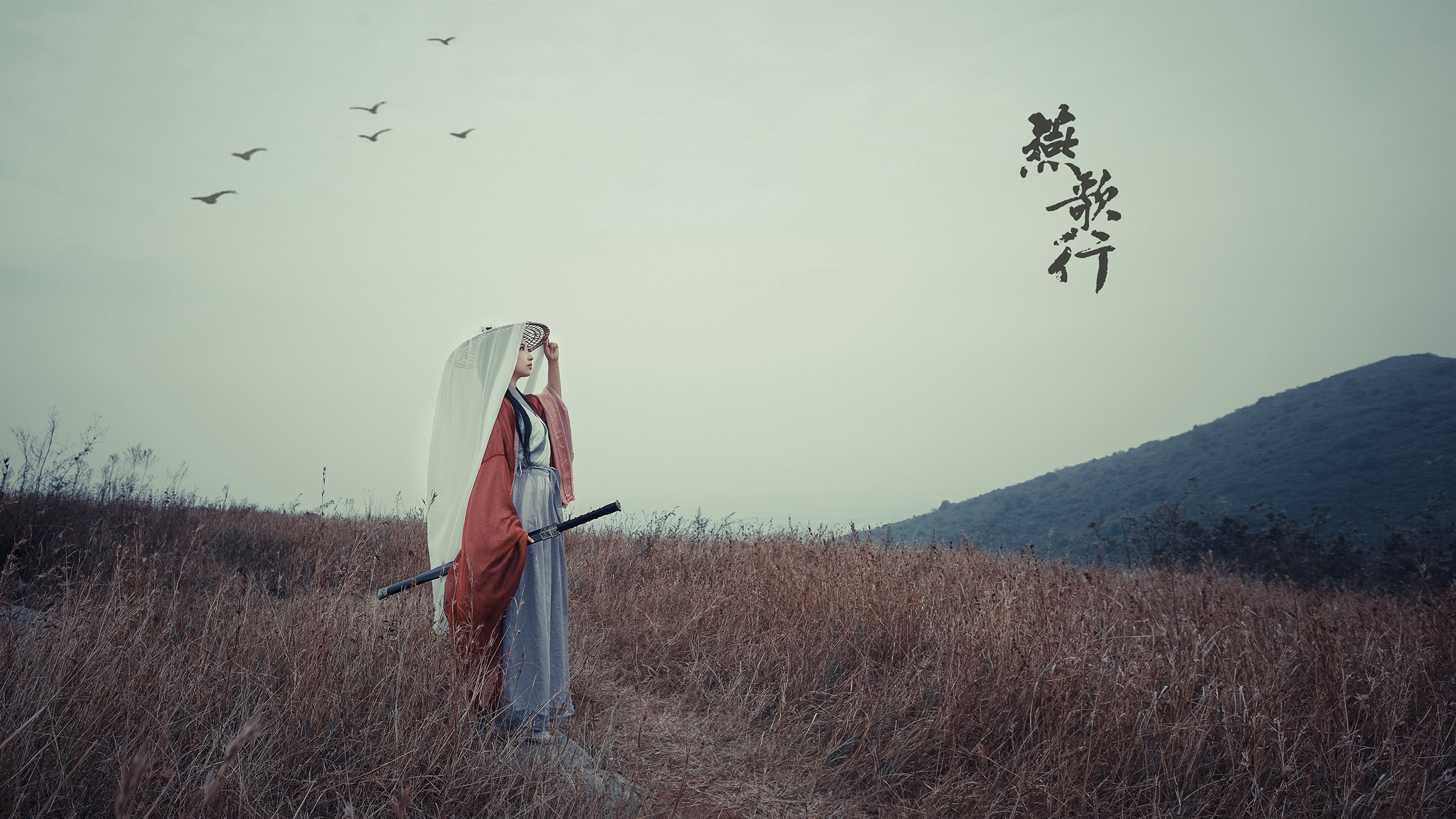 重剑无锋，弧圈如虹