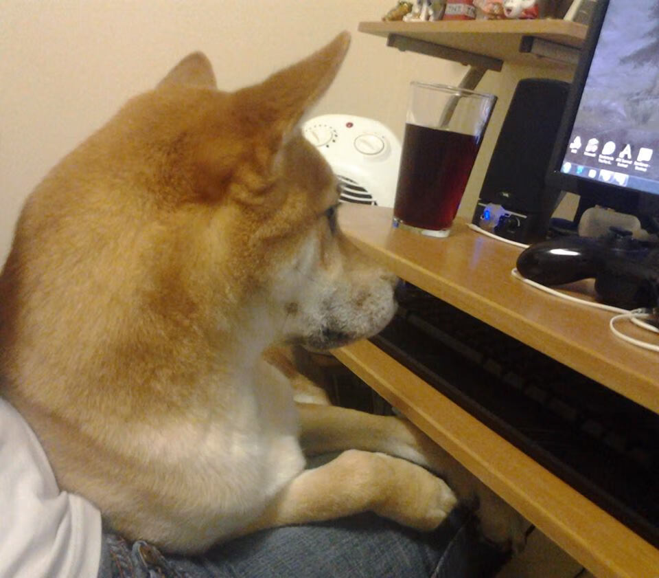 绿茵之外的关键先生，当萨拉赫的名字响彻华沙电竞馆