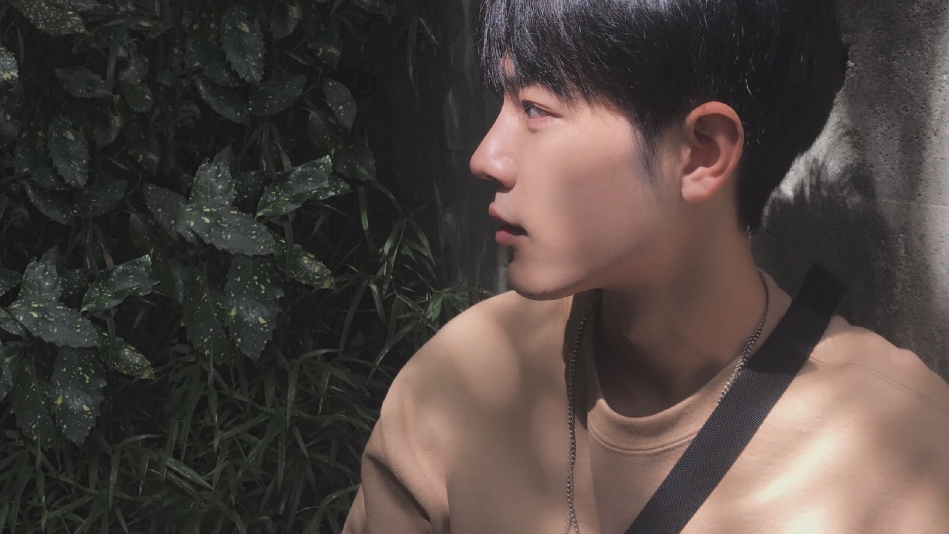 黄黑风暴席卷梦剧场，多特蒙德战术制胜，曼联欧冠之路蒙阴影