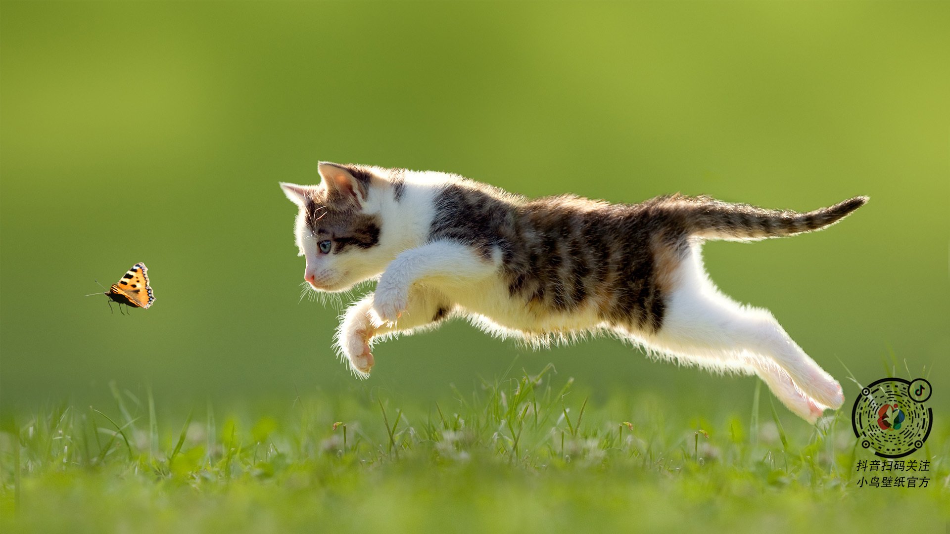 那些为荣耀而战的人们