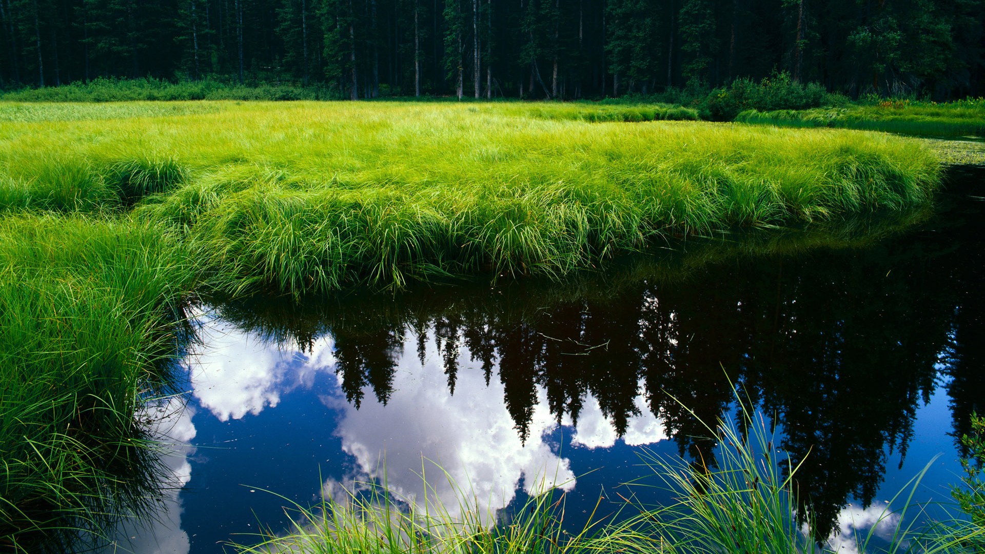 马克西一锤定音，少年剑封喉，雄鹿止连败