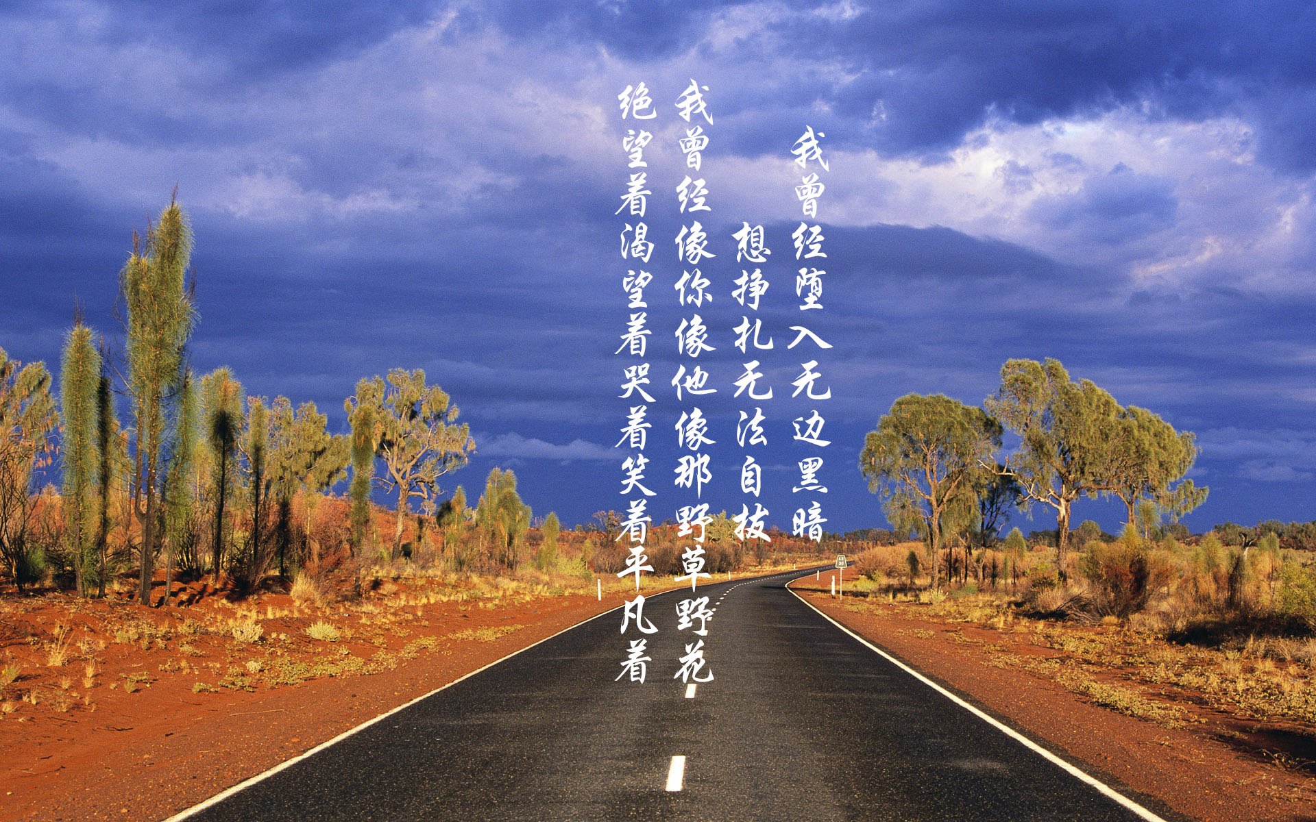 零点四十三分，布鲁诺在奥运周期关键战之夜，以七次战术改写历史