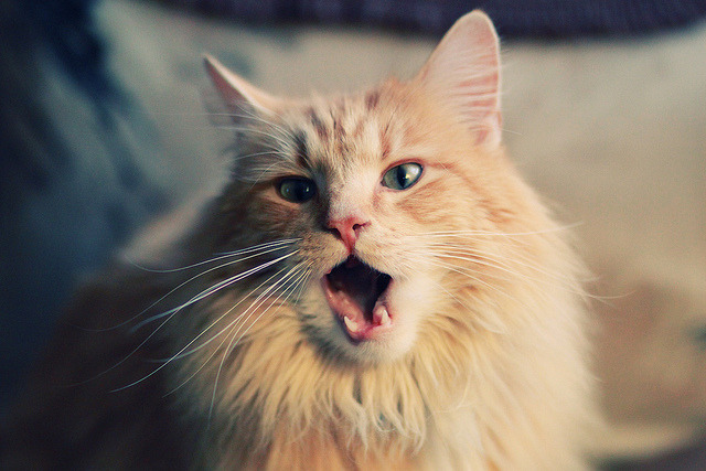 篮球世界地图的重绘，广厦压哨绝杀湖人，定义新世纪篮球之战