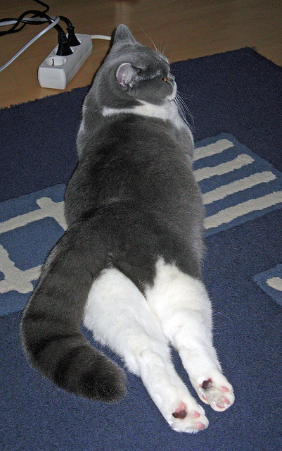 破冰，孔德打破质疑的那一刻，新一代乌拉圭的锋芒已然出鞘