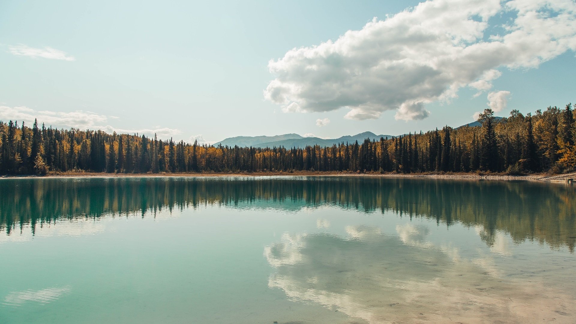 当文班亚马撞进青铜巨阵，雄鹿与广厦的防线在他的天赋面前，不过是史前遗迹