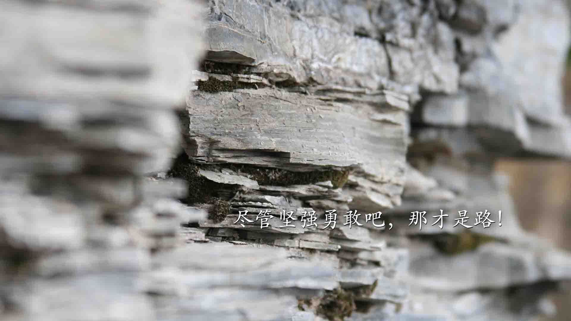 红与绿的史诗,阿诺德的右路风暴与哥伦比亚的铁壁